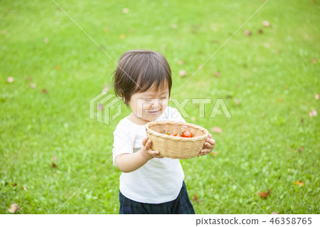 Children harvesting tomatoes 46358765