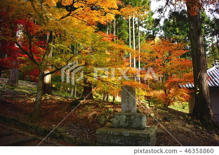Autumn leaves Nagano City Kiyomizu Temple Autumn leaves Nagano City Kiyomizu Temple 46358860