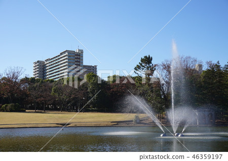Pond fountain in Tama Central Park Pond fountain in Tama Central Park 46359197