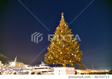 在黎明前拍攝北海道函館灣地區聖誕節幻想的聖誕樹景觀 46359713