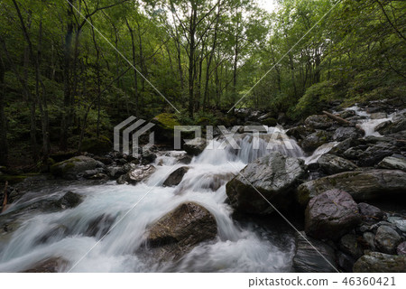Hirokawara Oisozawa Waterfall 46360421