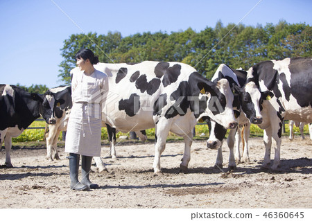 Livestock farmer woman Livestock farmer woman 46360645