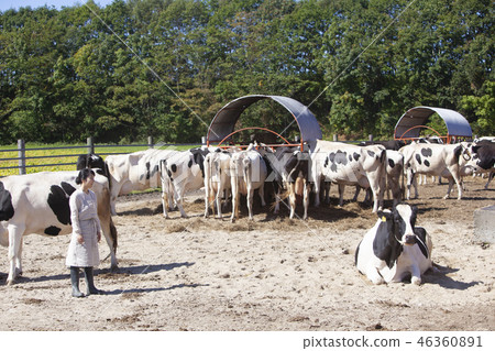 Livestock women Livestock women 46360891