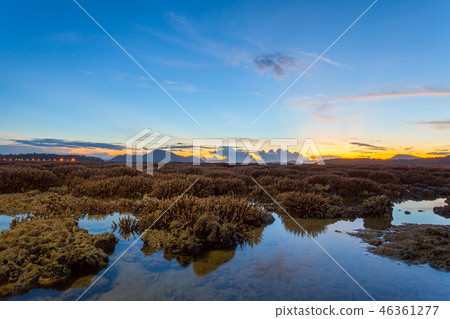 scenery sunrise above the coral reef in low tide scenery sunrise above the coral reef in low tide 46361277