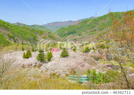 View of Takato Joshi Park View of Takato Joshi Park 46362711