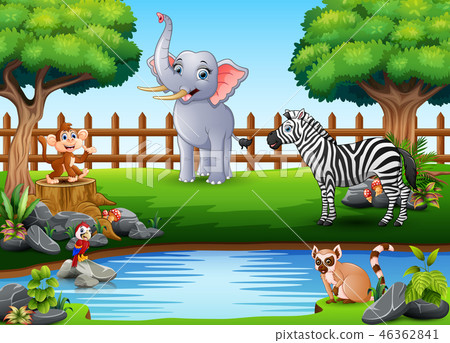 Wild animals playing on the edge of a small pond - Stock Illustration ...