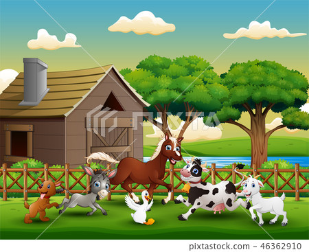 Happy farm animal playing outside the cage 46362910
