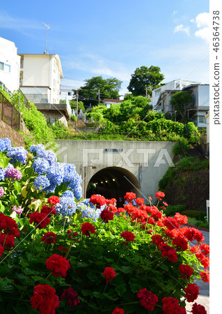 Yokohama · Toyoko flower green road 46364738