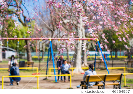 （東京）日比谷公園春天 46364997