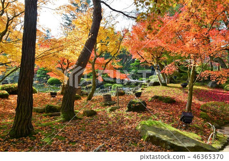 Fall autumn leaves hunting of Yushien 46365370