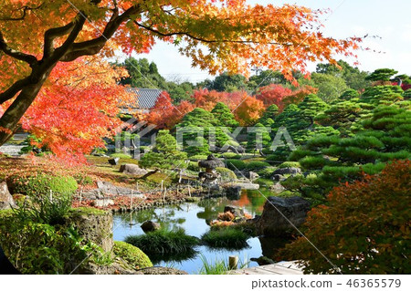Fall autumn leaves hunting of Yushien Fall autumn leaves hunting of Yushien 46365579