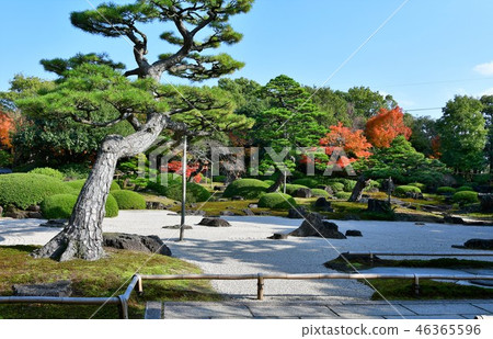 秋天秋葉狩獵Yushien 46365596