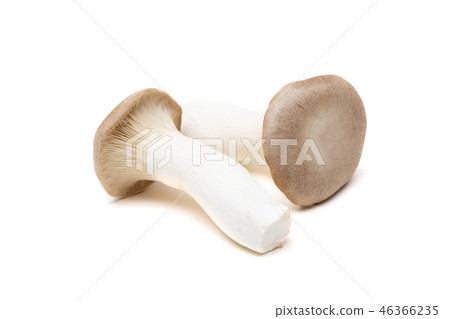 杏鮑菇 杏鮑菇 46366235