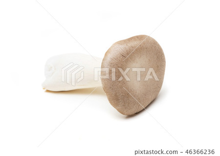 杏鮑菇 杏鮑菇 46366236