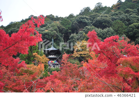 Eikan-do 2018 2 Eikan-do 2018 2 46366421
