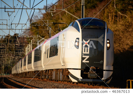 成田快遞E259系統，響應早晨的陽光 46367013