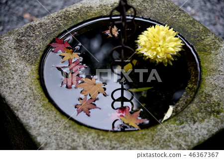 Fall of Honen-in Fall of Honen-in 46367367