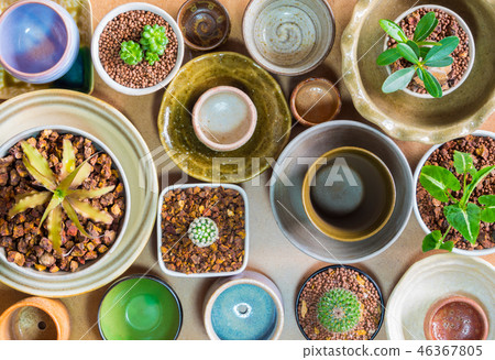 Ceramic bowls prepared to use for houseplant pot 46367805