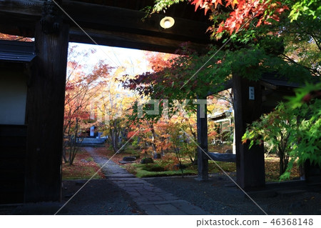 Shonenji Yamamon autumn leaves Shonenji Yamamon autumn leaves 46368148