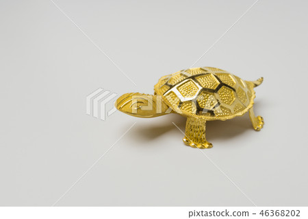 turtle 46368202