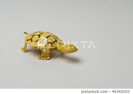 turtle 46368203