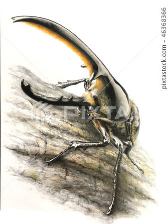 Hercules giant monkey Hercules giant monkey 46368366