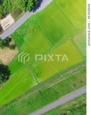 Dancing in the country / road - drone (Fukushima prefecture Onuma gun Aizu Misato cho Oishi character family down) 46368606