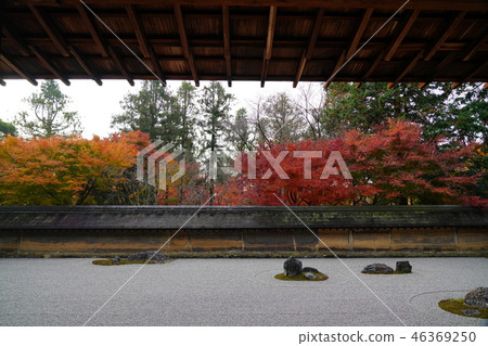 Kyoto in autumn Kyoto in autumn 46369250