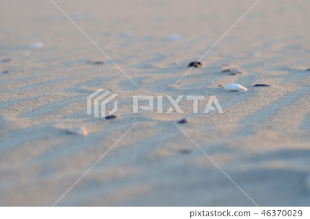 Sandy beach 46370029