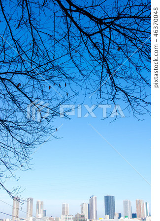 從山上看到的塔公寓組 46370048