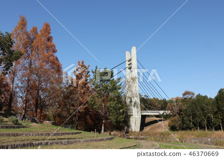 山田Ike公園枚方市,大阪府的秋葉(美國紅杉&風景) 山田Ike公園枚方市,大阪府的秋葉(美國紅杉&風景) 46370669