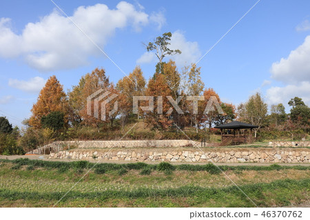 Autumn leaves of Yamadaike Park (Satoyama) Hirakata City, Osaka Prefecture 46370762