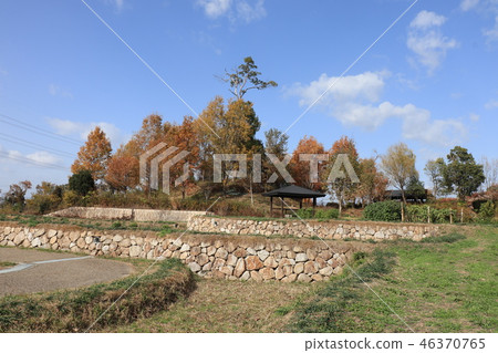 Yamadaike公園（Satoyama）Hirakata市，大阪縣秋葉 46370765