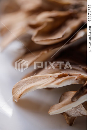 蘑菇·舞茸 蘑菇·舞茸 46371725