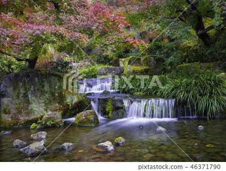 京都的秋天 46371790