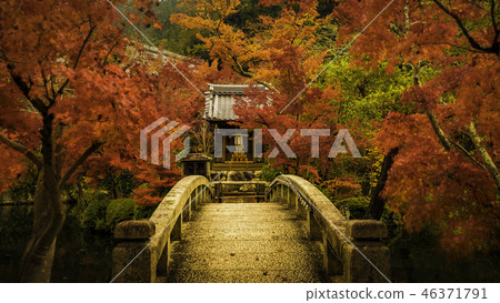 京都的秋天 46371791