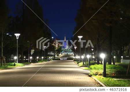 Odaiba night view 46371916
