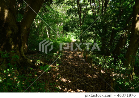 Yagawa green space 1 46371970