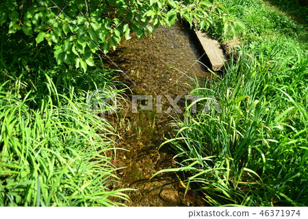 Yagawa green space 5 Yagawa green space 5 46371974