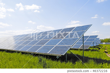 solar plant solar plant 46372216