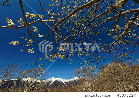 Kitadake seen from Yasha-shingu of early spring 46372227