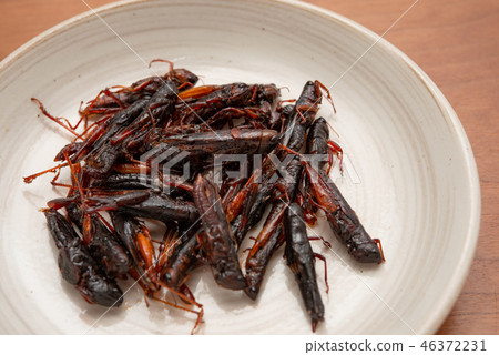 Locust of locusts 46372231