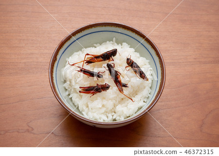 蝗蟲煮熟的米飯 蝗蟲煮熟的米飯 46372315