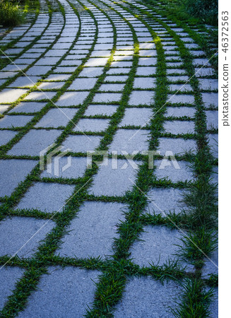 Grass growing between sidewalk blocks 46372563
