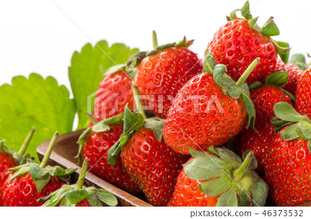 Grass melon water fruit winter heaven winter vine girl strawberry strawberry strawberries 46373532