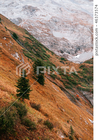 Grass mountain valley Titlis Engelberg Switzerland 46373574