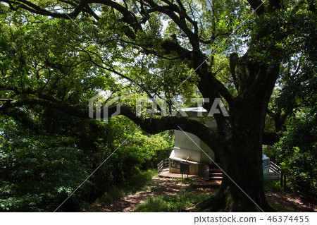 前Ujina公園 46374455