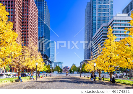 東京yukikodori東京站周圍的銀杏Namiki 46374821