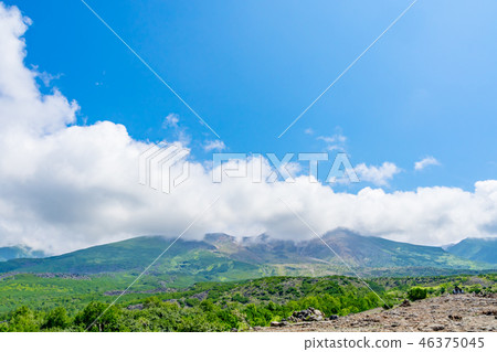 Nature image 46375045