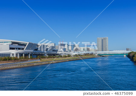 豐洲市場 46375099